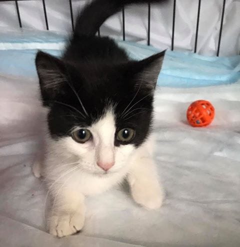 dave_highway_kelley_rescue_1