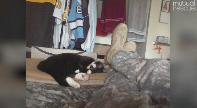 scout-chat-joshua-soldat-sauvetage-1