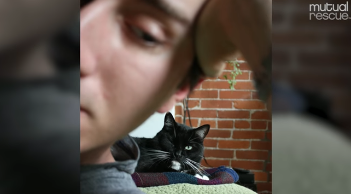 scout-chat-joshua-soldat-sauvetage-4