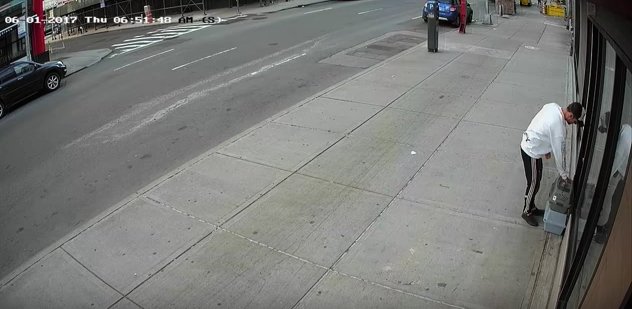 chats-abandon-camera-surveillance-1