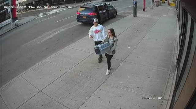 chats-abandon-camera-surveillance-2