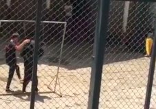 ours-battu-zoo-chine-2