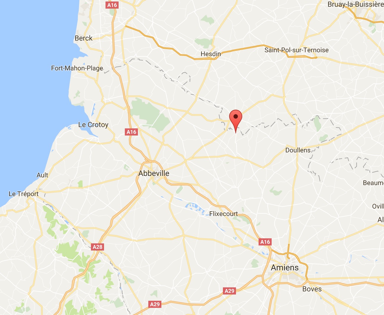 dick-chien-epagneul-sauvetage-5