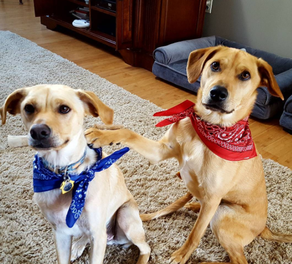 Juno_jordan_brothers_inseperable_5