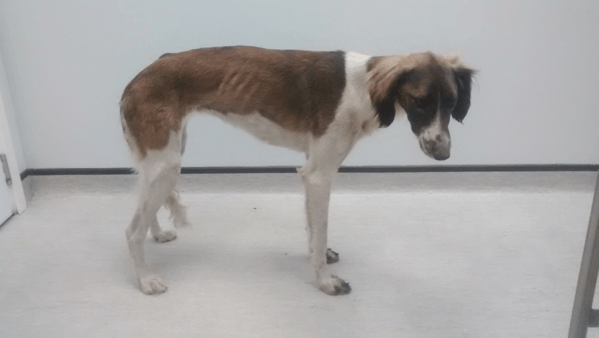 penny_abandoned_trash_uk_1