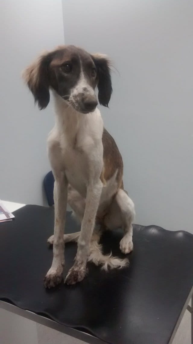 penny_abandoned_trash_uk_4