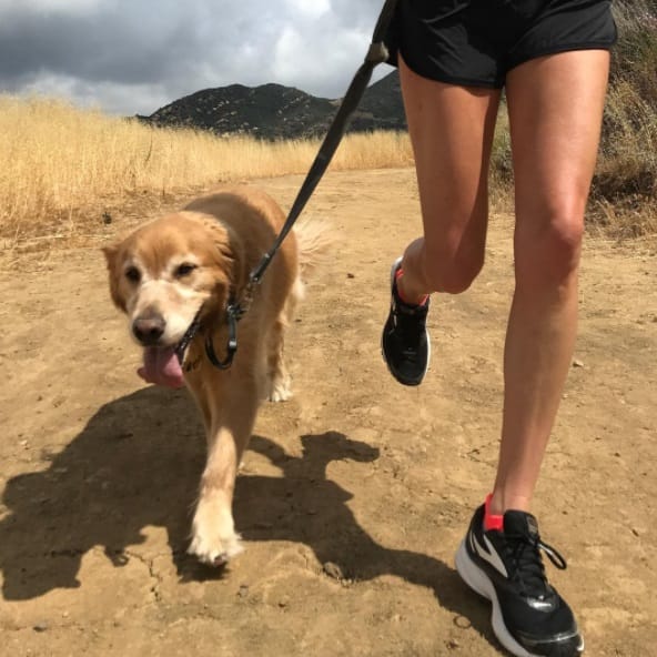 dogs_running_summer_tips_3