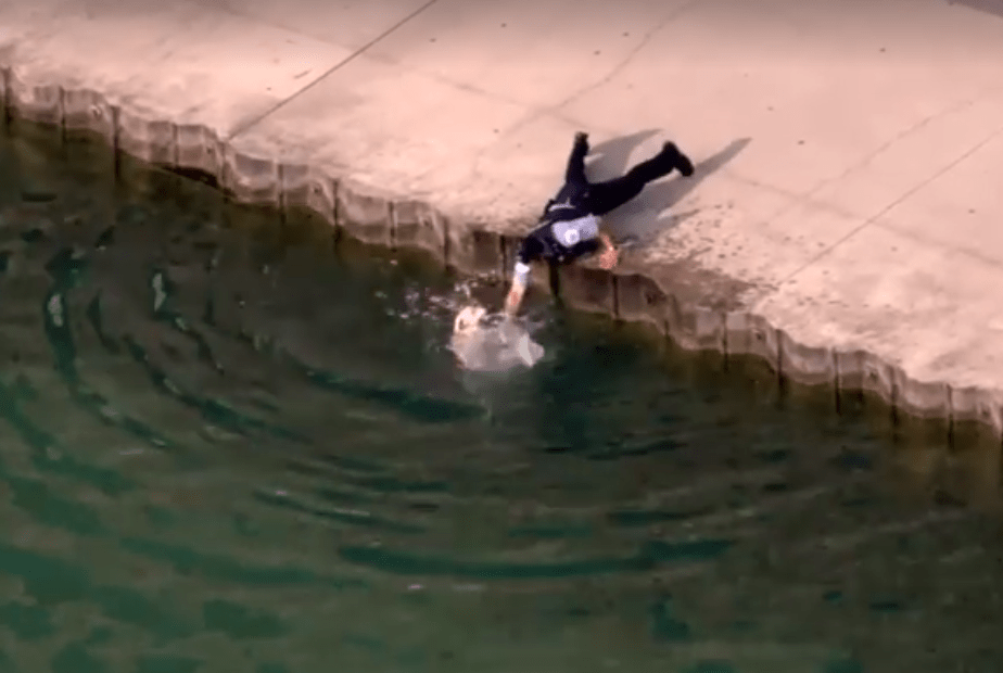 dog_lake_michigan_police_officer_3