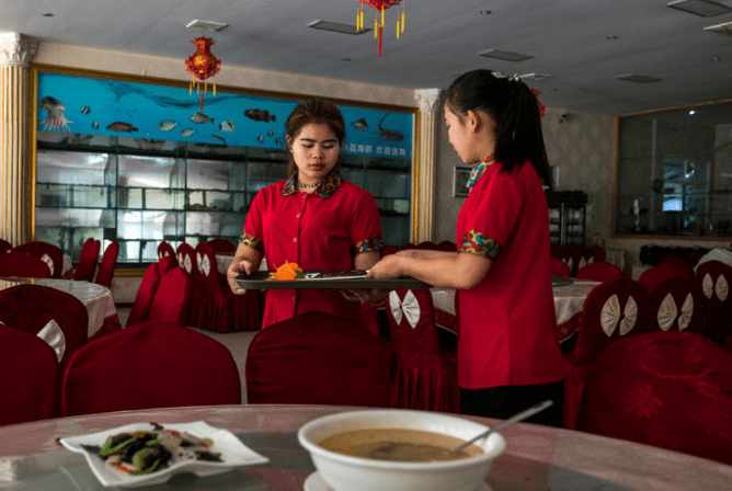 tiger_farming_asia_wine_5