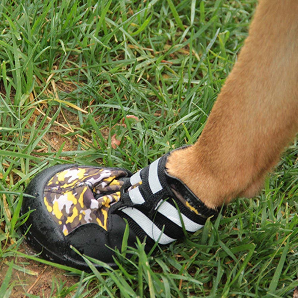 bottines pour chien