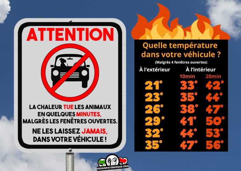 chien enfermé voiture