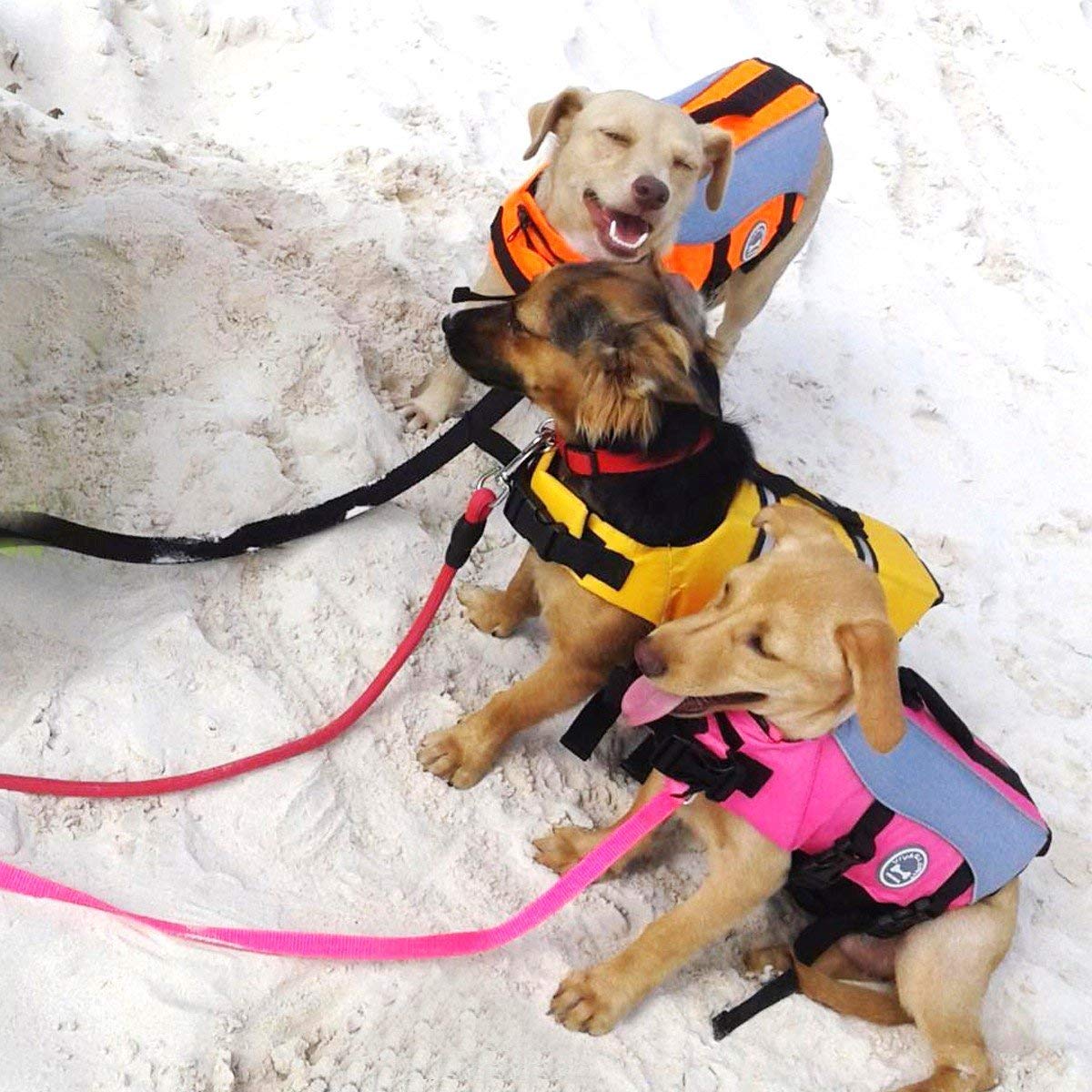 gilet de sauvetage pour chien