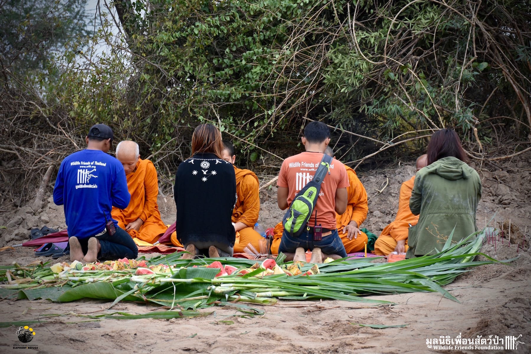 namphon_elephant_death_2