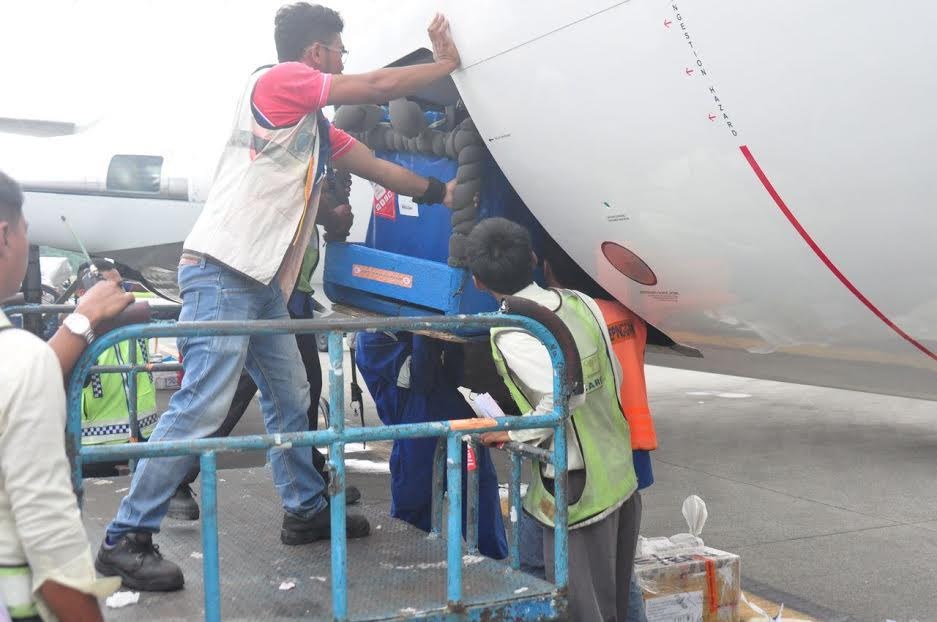 cirque-ambulant-dauphins-2