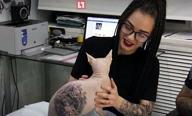 cat-sphynx-tatoo-russia-3