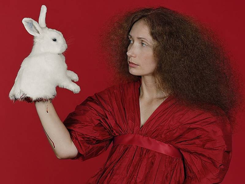 artists-animal-cruelty-6