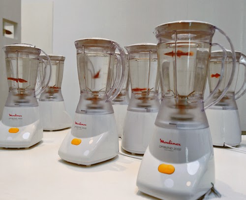 artist-animal-cruelty-7