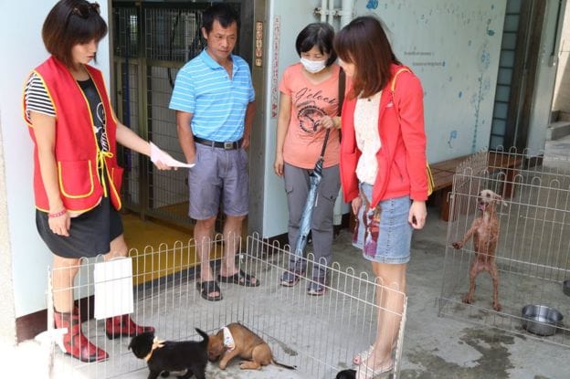 vet_suicide_shelter_2