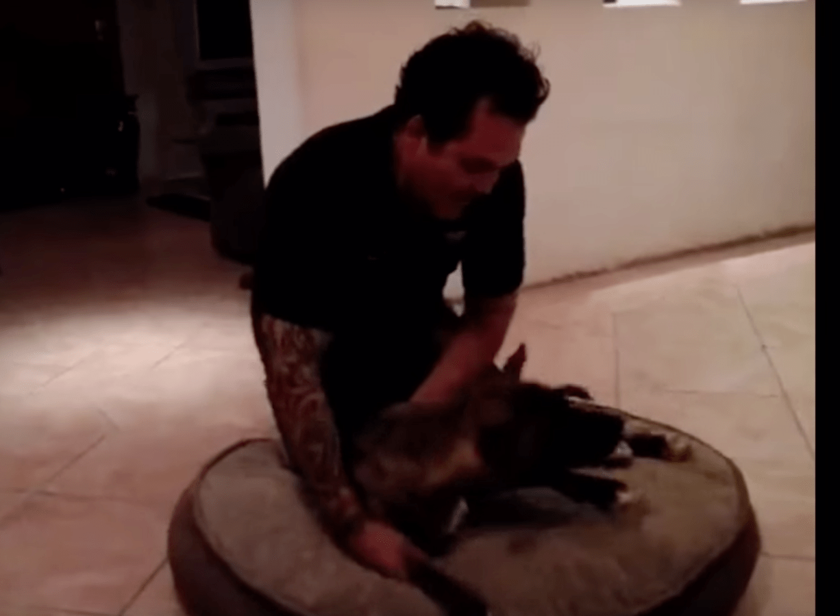 toby_dog_paralyzed_rescue_3