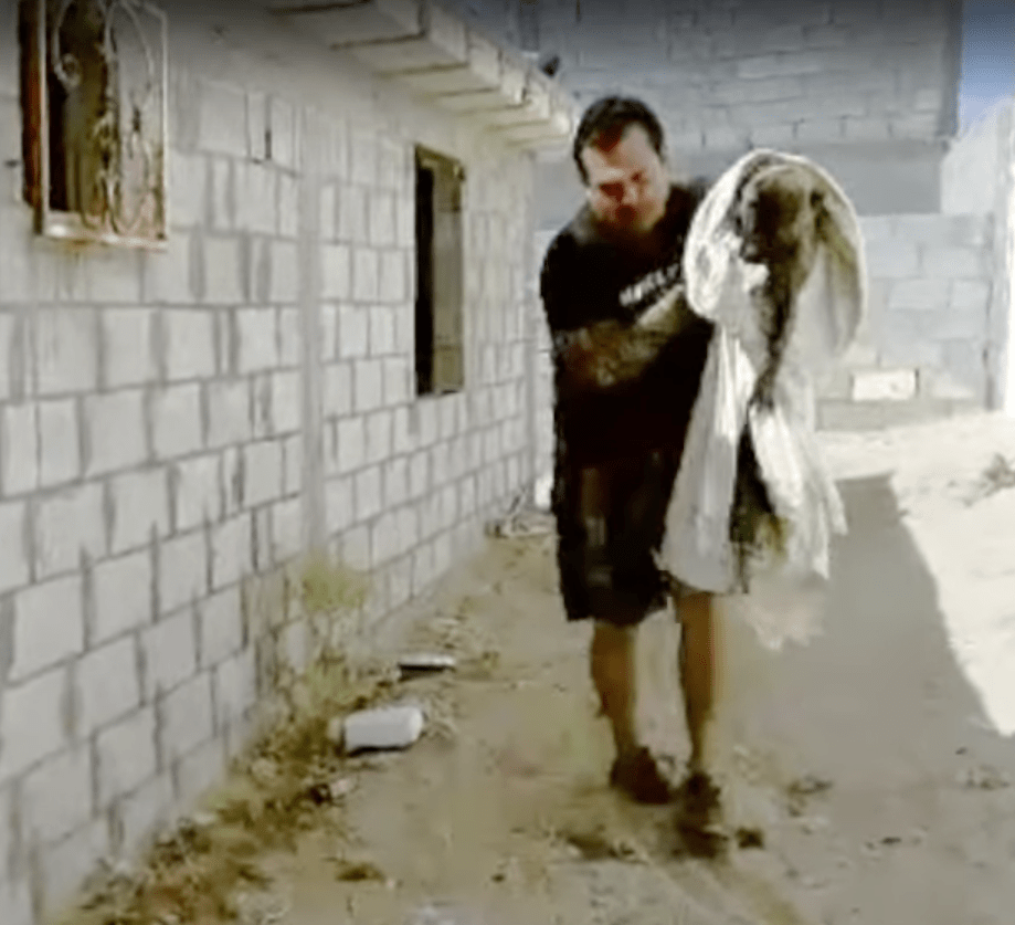 toby_dog_paralyzed_rescue_2