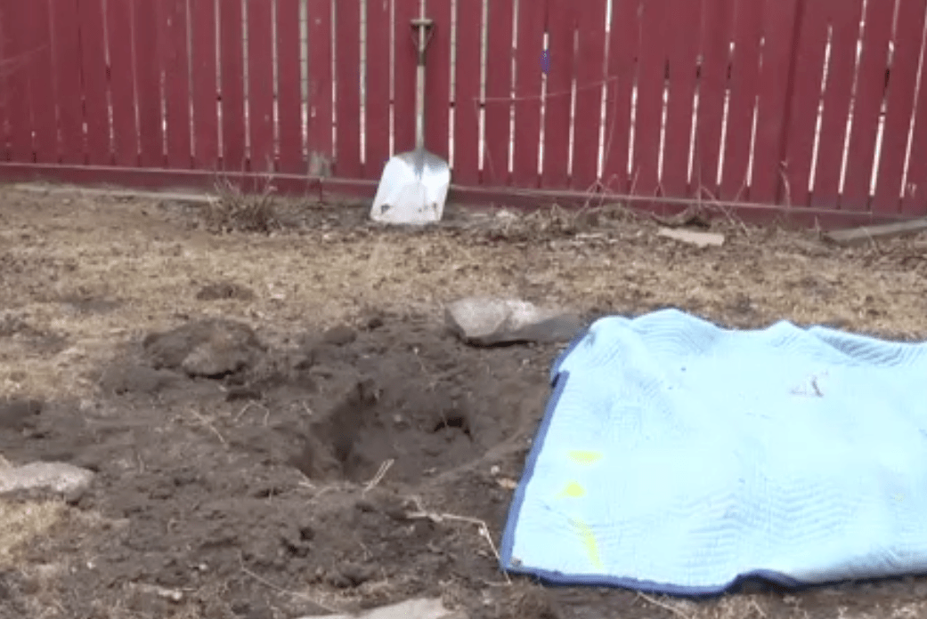 calgary_dog_murder_2