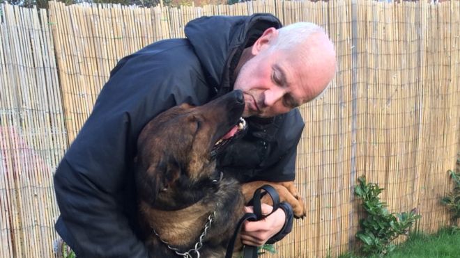 ivy-david-evans-chien-policier-1