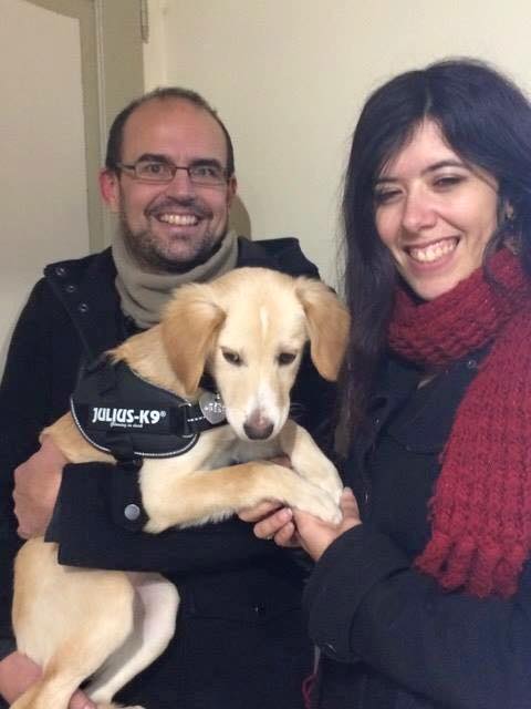 petits-innocents-reunion-chien-adoption-4