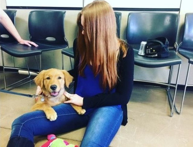 raine_dog_abused_rescue_5