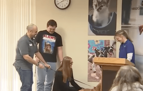 raine_dog_abused_rescue_4