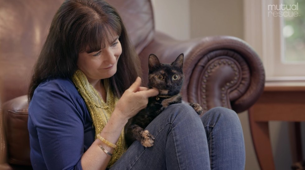 eliza-kylie-kitten-4