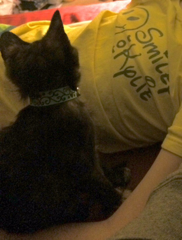 eliza-kylie-kitten-2