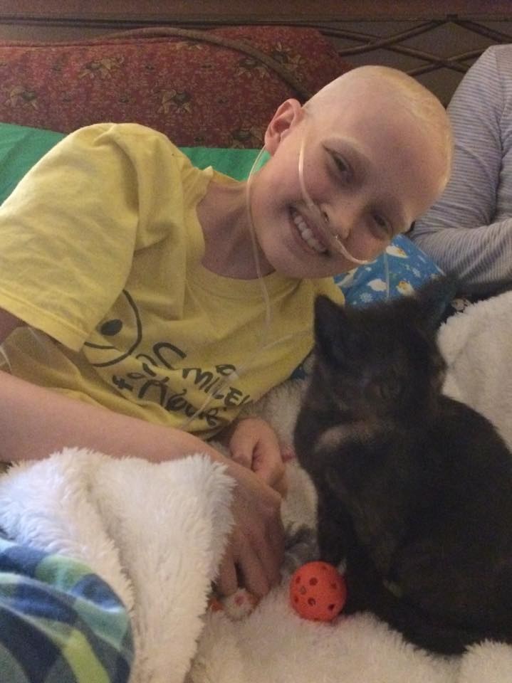 eliza-kylie-kitten-1