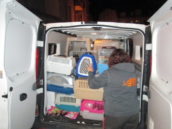 lamballe-41-animaux-2-enfants-insalubre-1