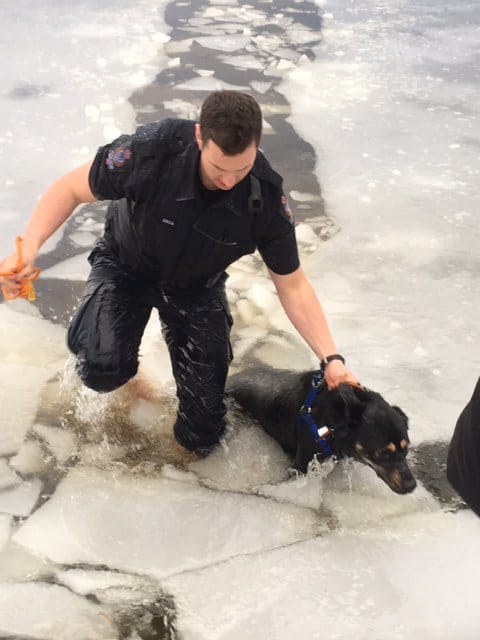 police_rescue_frozen_lake_1