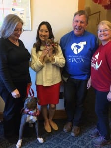 sf-rescue-pets-1