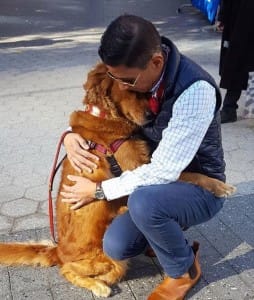 dog-hugs-ny-6