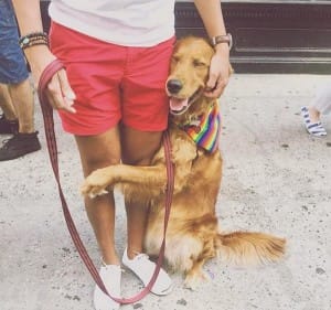 dog-hugs-ny-9
