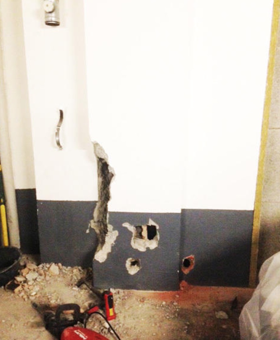 lascar-chat-geneve-chute-2