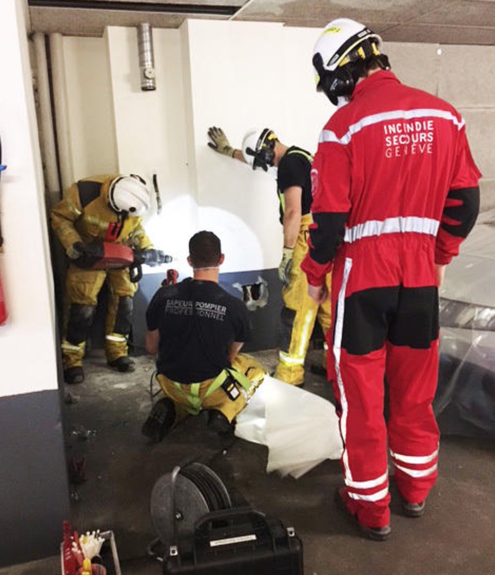 lascar-chat-geneve-chute-3