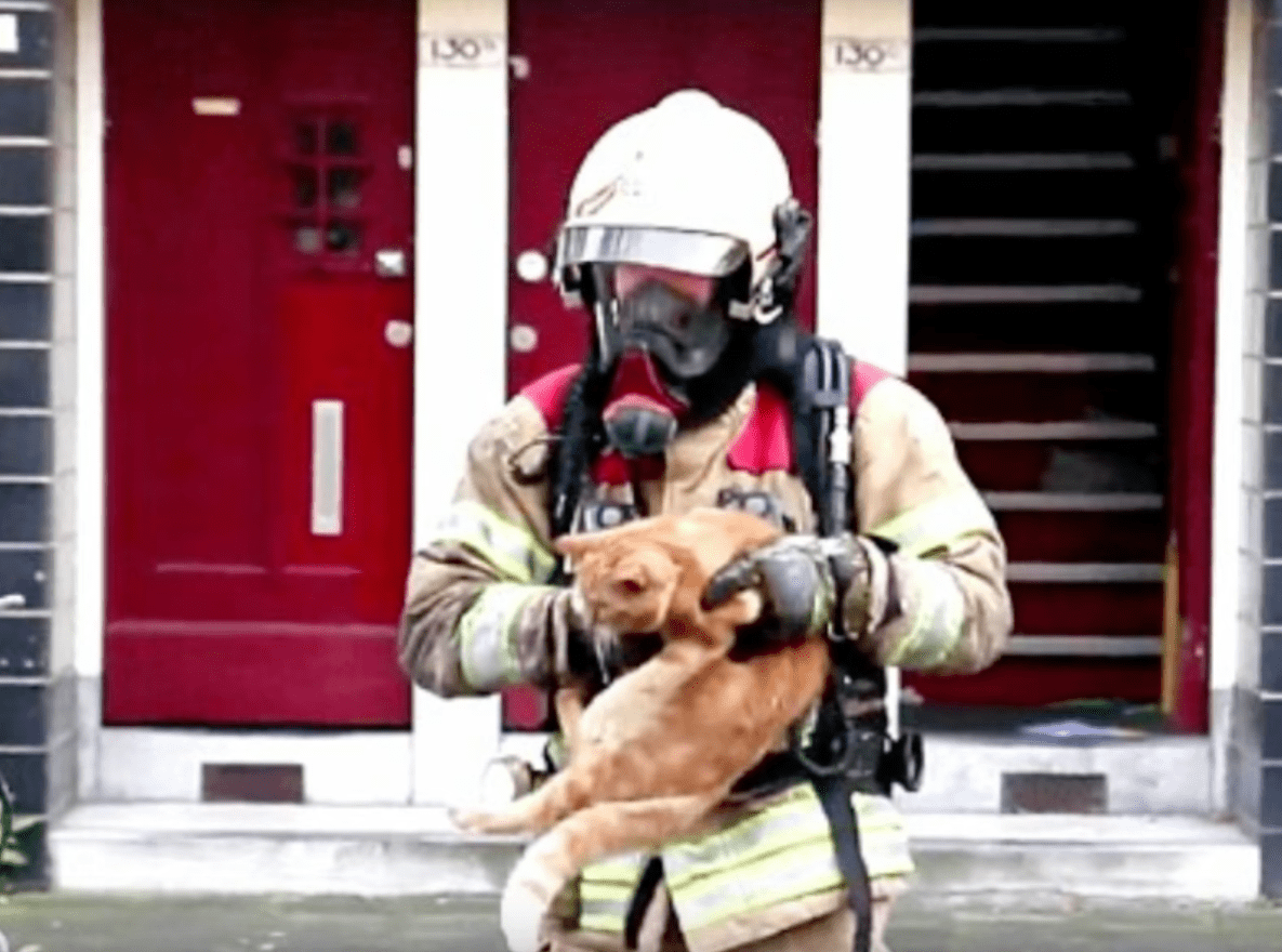 sammy_cat_rescue_fire_2