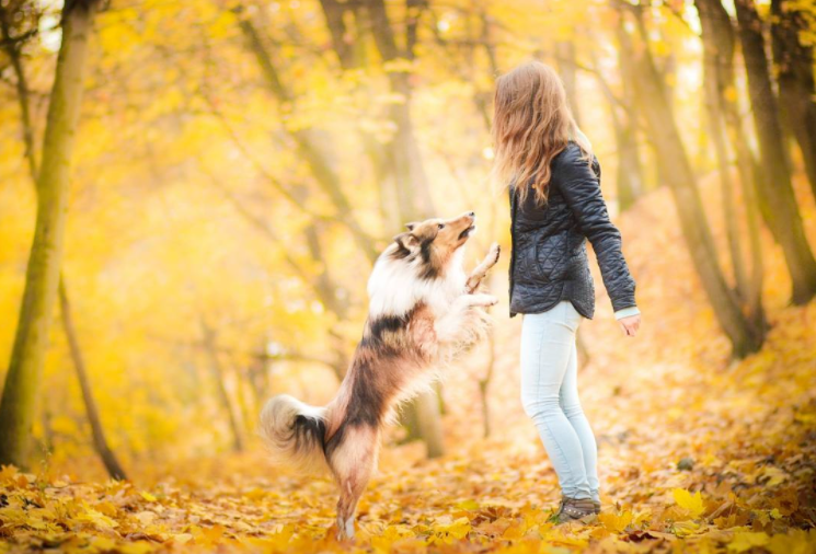 dog_human_goodness_2