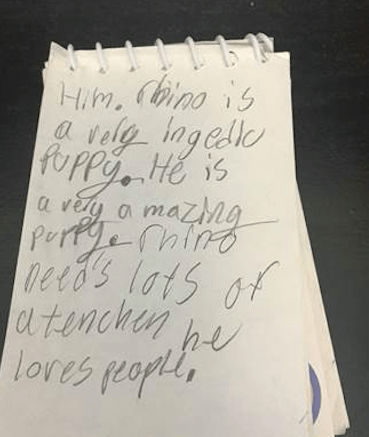 rhino_note_adoption_dog_1