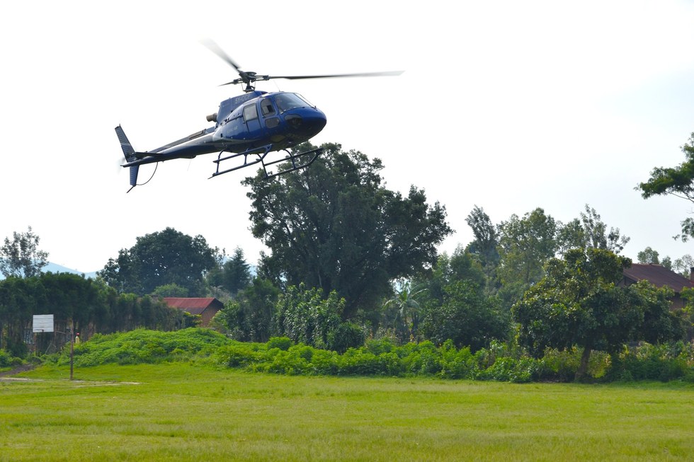 missa-babouin-RDC-orphelin-2