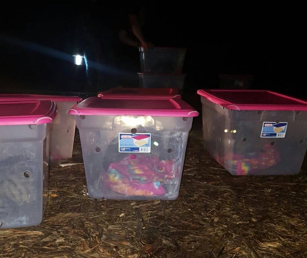 cats_tubs_abandoned_california_5