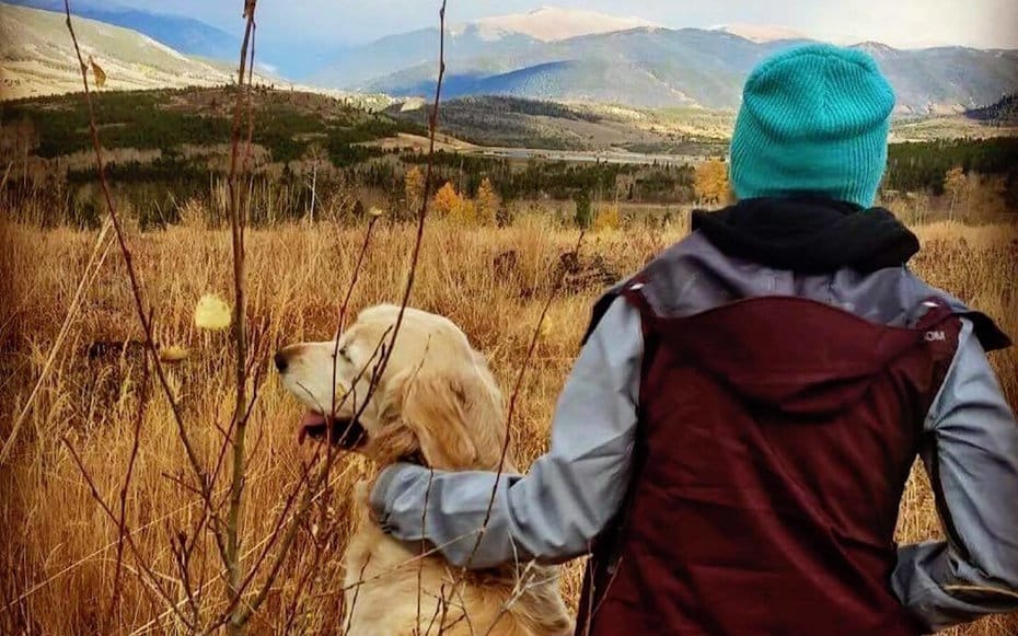 jacob_airline_death_3