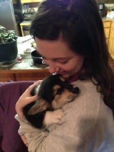 This baby Corgi just wants to cuddle.