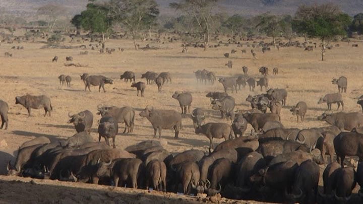 kenya_drought_water_delivery_1