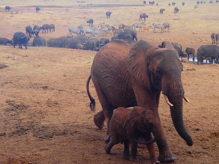 kenya_drought_water_delivery_3