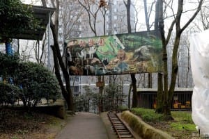 zoo-china-starving-7