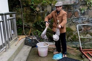 zoo-china-starving-10#